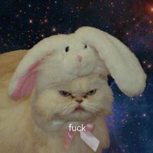 Meet your Posher, Dương